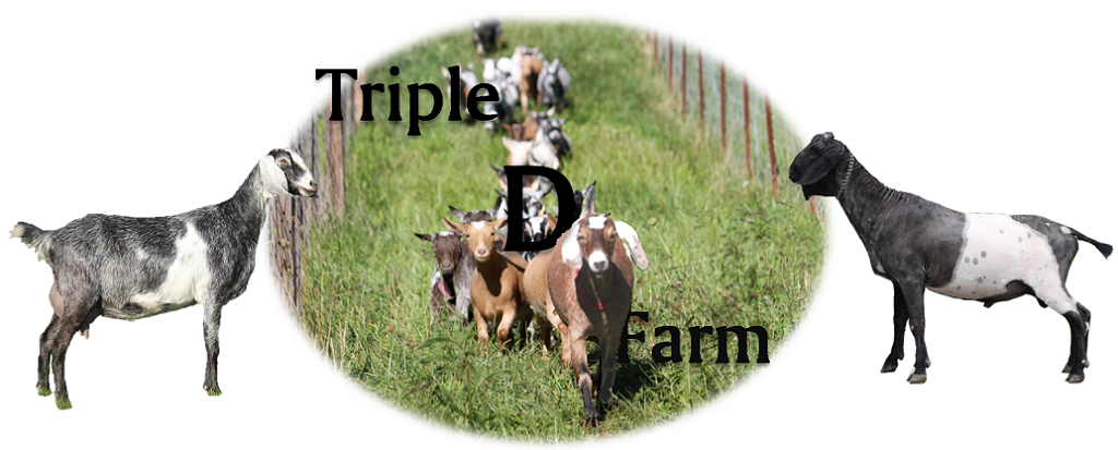 Triple D Farm