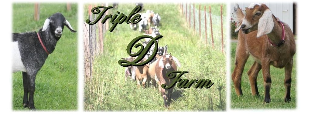 Triple D Farm